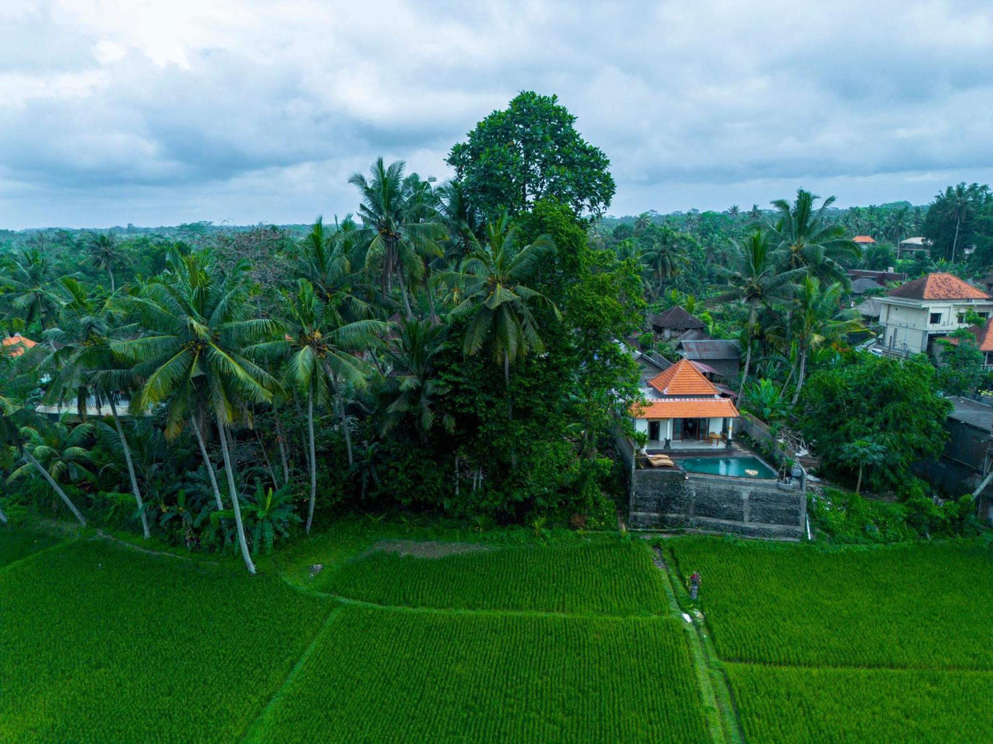Jatining Ubud Villa & Spa Экстерьер фото